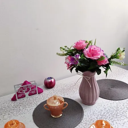 Апартаменты Novakovic Биелина